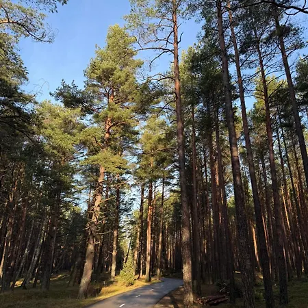 Apartamentai-butas “mano Jura” Komplekse Palanga