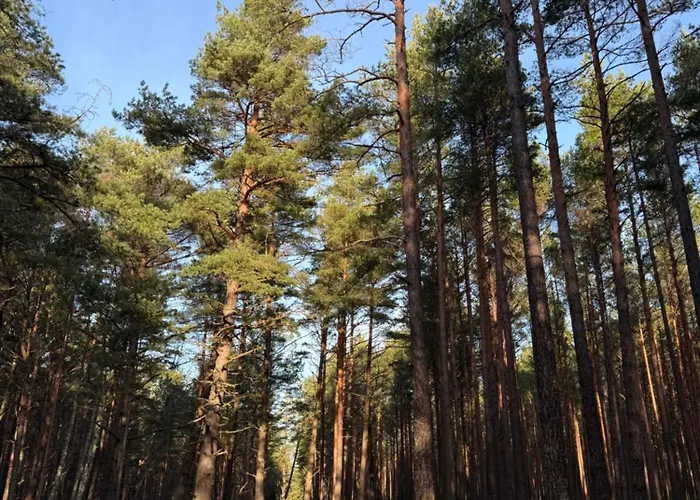 Apartamentai-butas “mano Jura” Komplekse Паланга